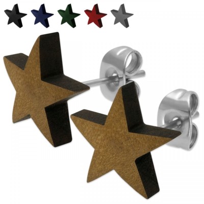 Holz Ohrstecker Ohrringe Stern Sternchen Star farbig bunt Motiv Natur Edelstahl