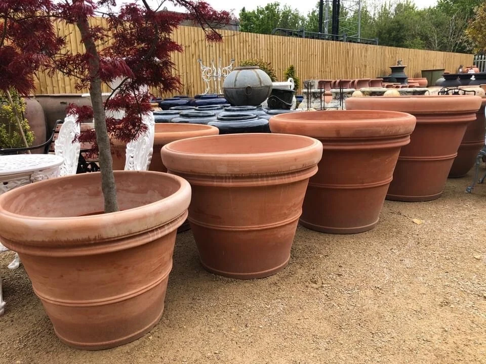 Extra large terracotta pots for trees deals