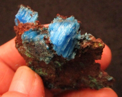 Electric Azure Blue Fibrous Chalcanthite Planet Mine La Paz County Arizona