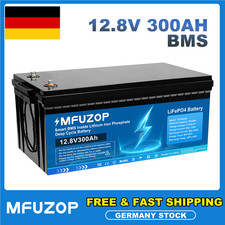 12V 300Ah Lithium Batterie LiFePO4 Akku 15000+ Zyklen Solaranlage Boot RV BMS