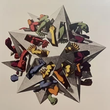 ESCHER Genius Artist ART PRINT “Gravitation” Color Print