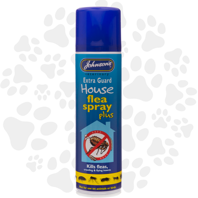 Fleas Extra Staykill Household Flea Spray Staykil Plus 500ml