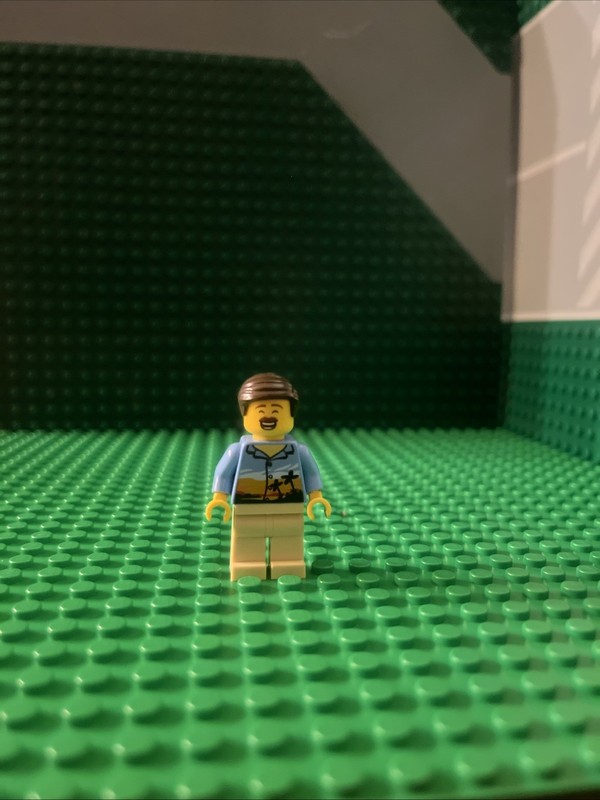 Lego Super Cool Beach Dad