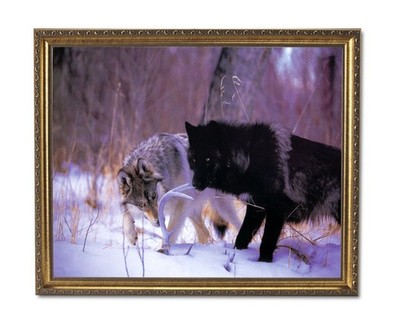 Wolf In Snow Deer Big Antler Rack Animal Wildlife Cabin Wall Picture Gold Framed
