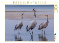 Calvendo Puzzle A Close-Up Of Cranes Wading In The Water | 1000 Pieces, Finished