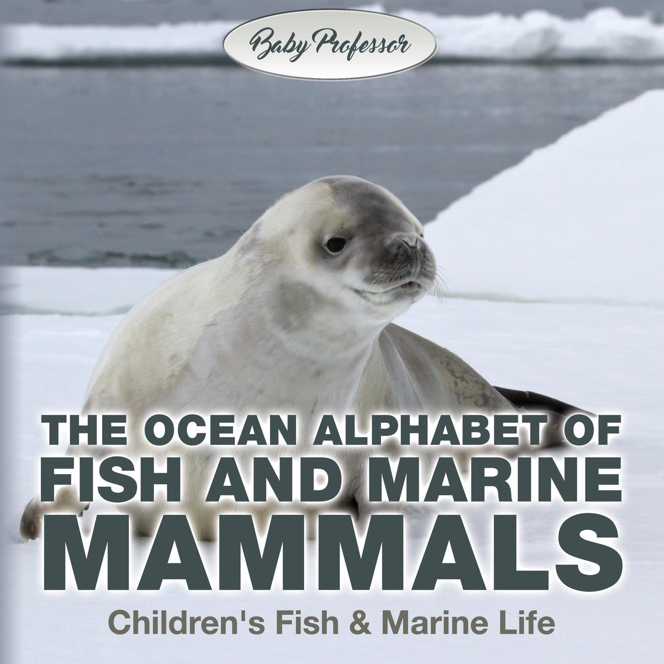 Thumbnail - The Ocean Alphabet Of Fish And Marine Mammals | Children's Fish &