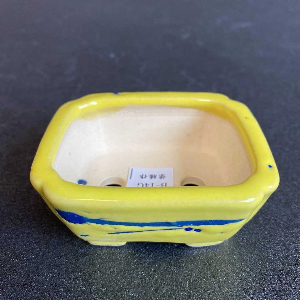 Japanese Bonsai pot TOKONAME Yellow glazed Rectangular Mini W7.3cm SHIBAKATSU - Image 3 of 4