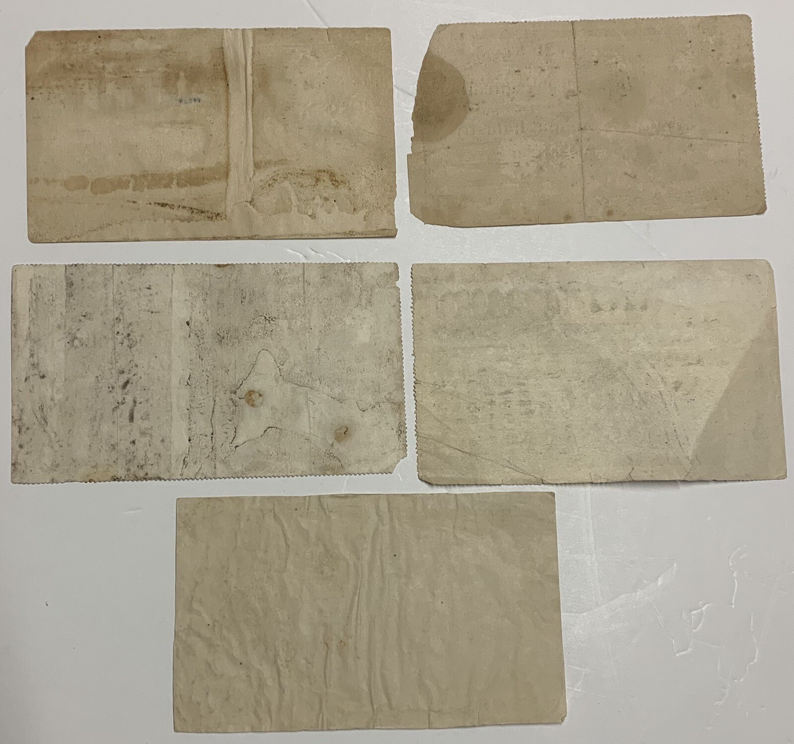 United States Department Agricultural Animal Industry Meat Inspection