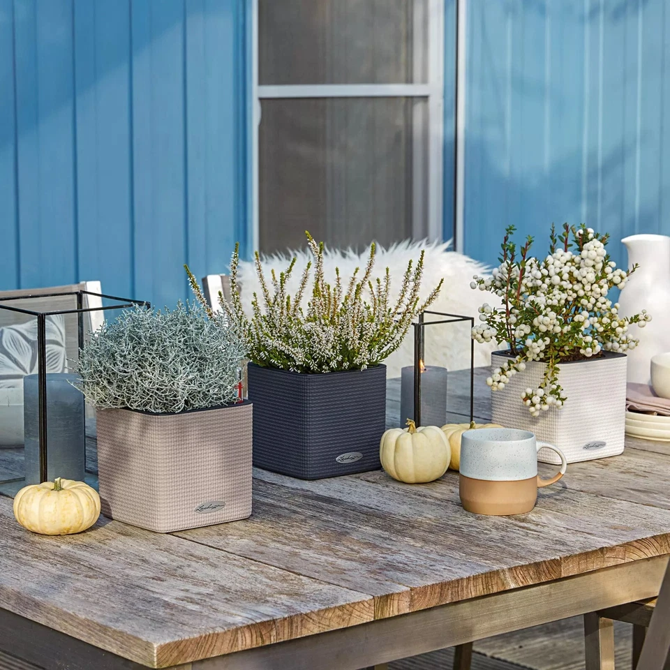 Lechuza self watering planter Cube 13478 Color 14 sand brown flower pot herbs - Image 2 of 4