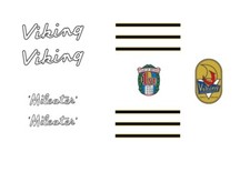 Viking Mileater Bicycle Frame Decals, Transfers  n.11