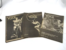 The Voice Magazine Lot (3) - Gay Interest - San Francisco - 1980 - Large Format