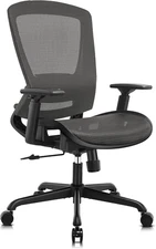 Mesh Office Chair,Ergonomic Computer Desk Chair,Sturdy Task Chair- Adjustable Lu