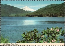 unused PPC, Mount Jefferson, OR