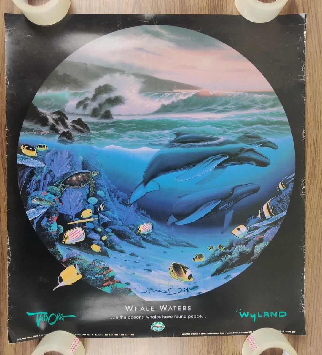 wyland original products for sale | eBay