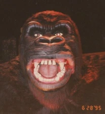 1995 Closeup Of Giant King Kong Head Universal Studios Hollywood