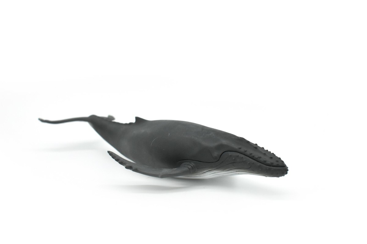 Humpback Whale, Museum Quality Plastic Replica 10