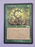 MTG Oath of Druids LP/NM - Magic: The Gathering - Exodus Japanese JPN - Card C