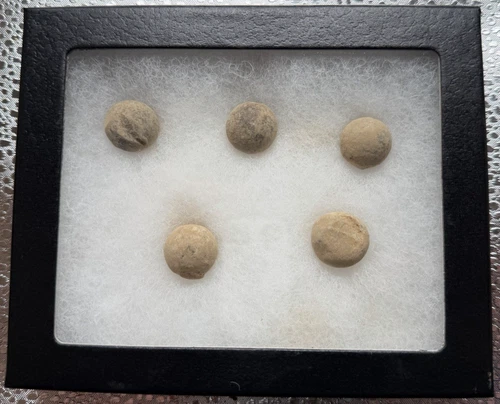 Civil War Era Original 5 Musket Ball Bullets  in Case! Battlefield Relic!