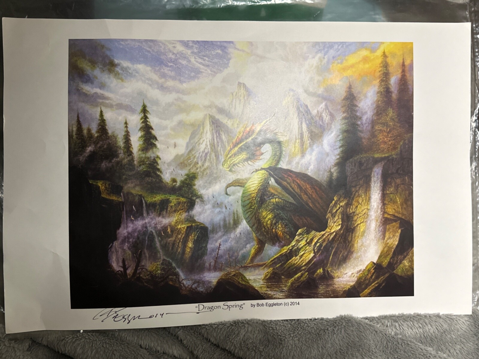 Picture 7 of 8