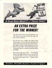 1952 Print Ad Ideal Dog Food Dog Chasing Cat That Stole His Food