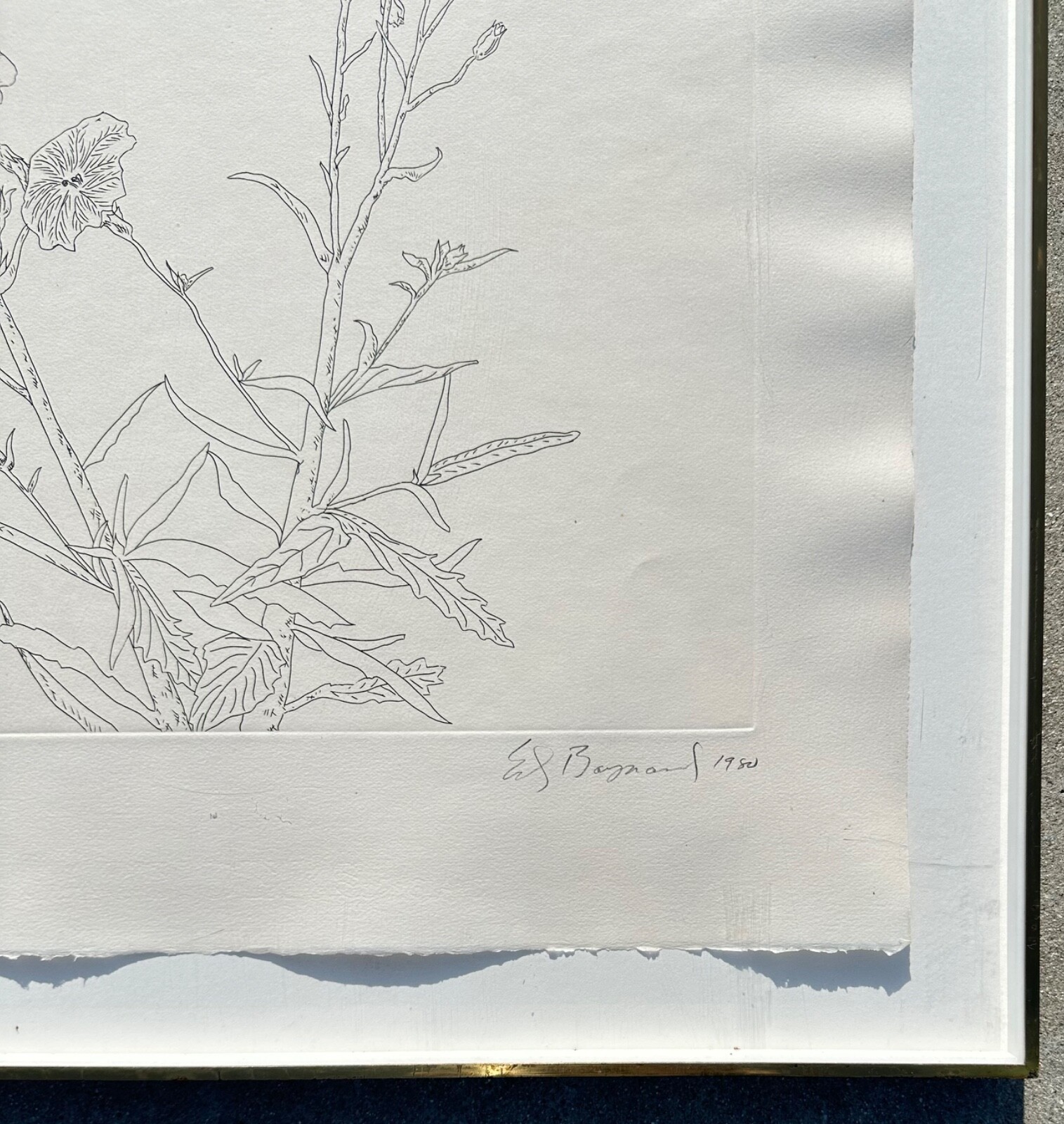Picture 14 of 23