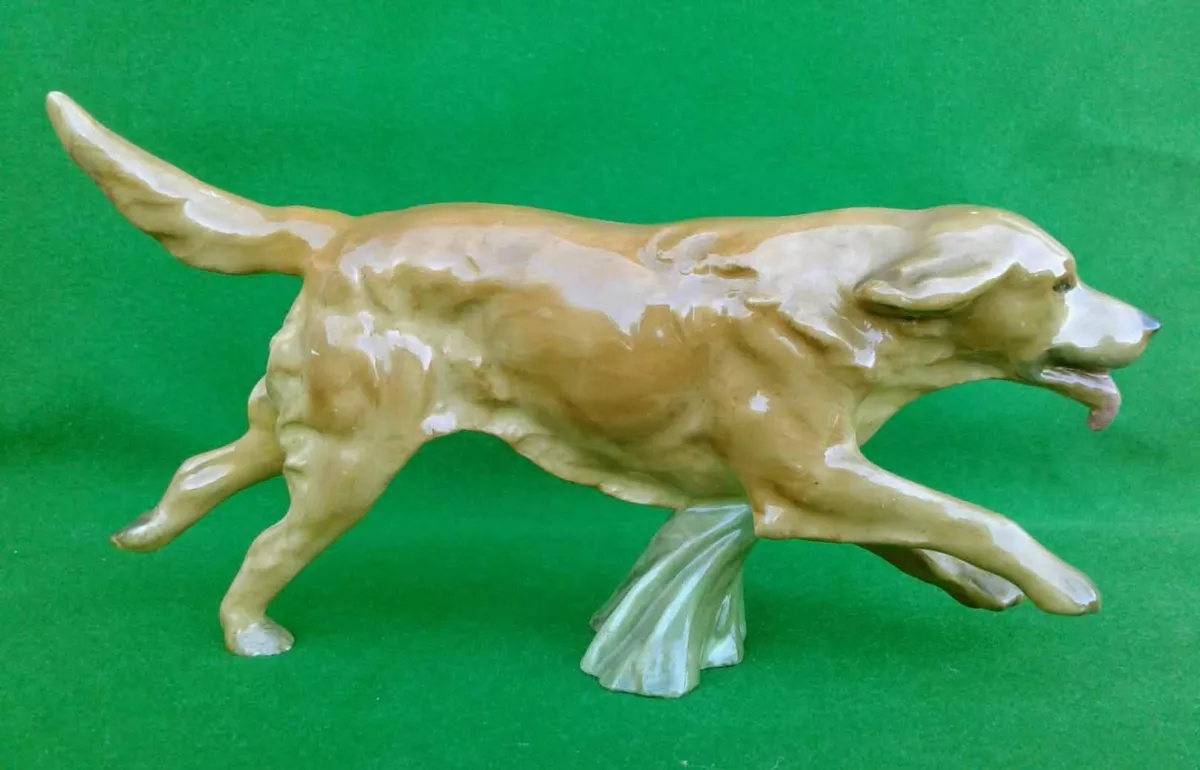 Royal retriever cheap
