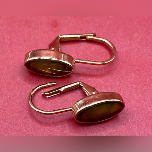 Women’s Earrings Gold Tone Tiger Eye Pierced Dangle 1/2”