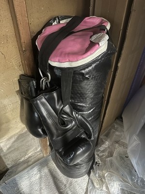 Everlasting Punching Bag