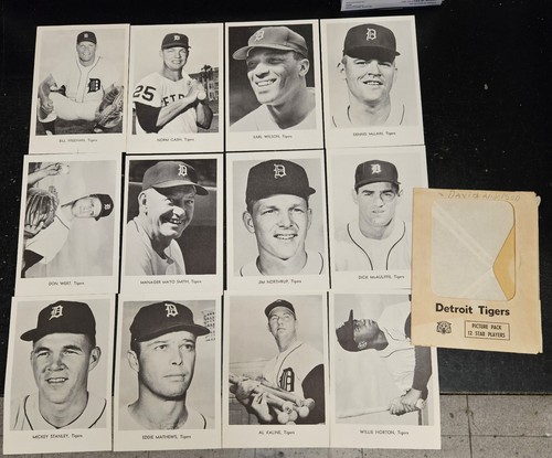 1968 Detroit Tigers Team Picture Pack 12 s/w Photo Set Kaline Mathews WS Champs - Bild 1 von 14