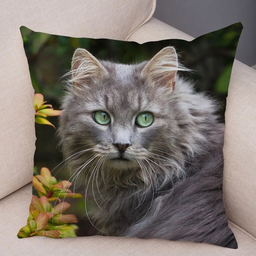 Funny Cute Cat Pillowcase Lovely Pet Animal Print Pillow Case Cushion Cover - Picture 25 of 72