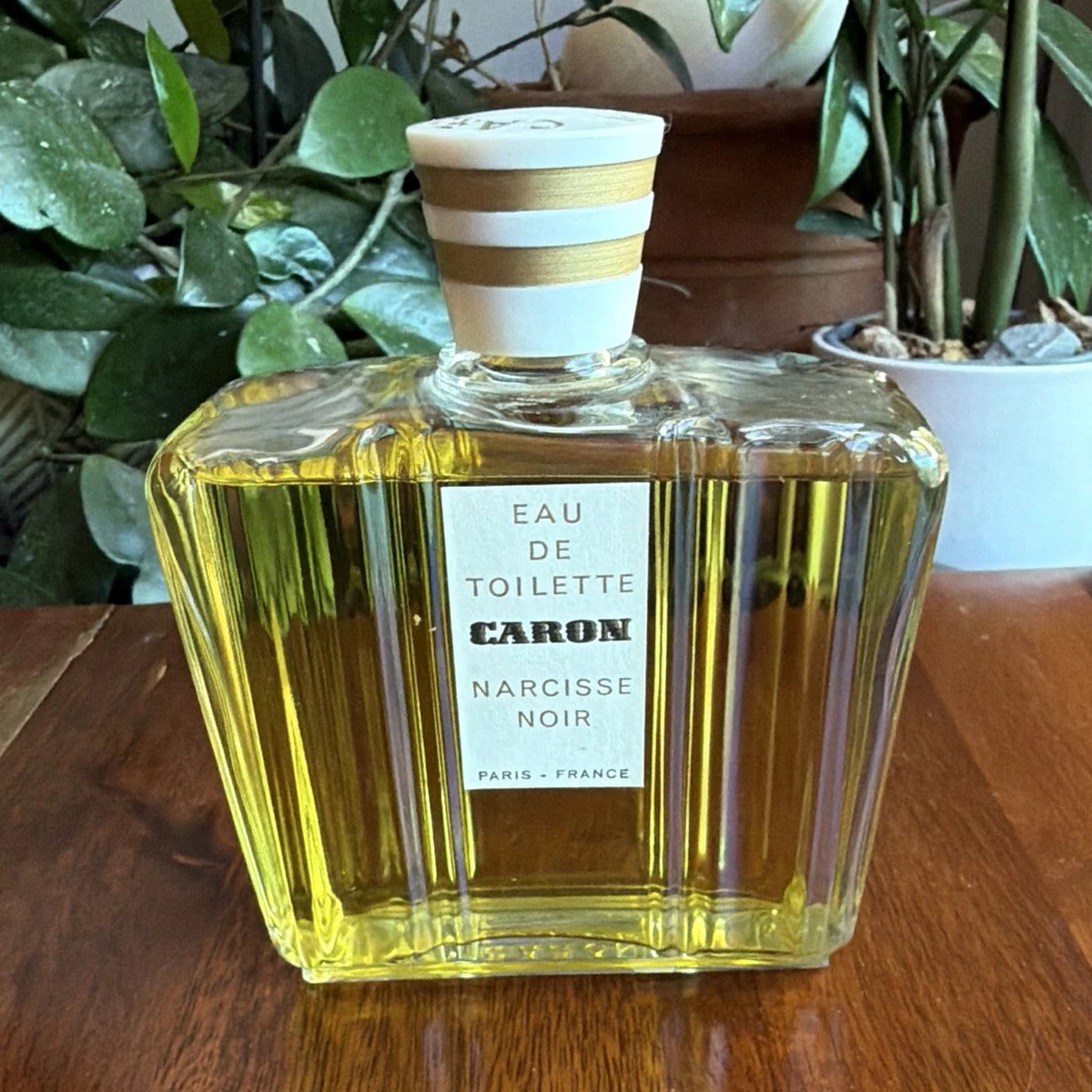 narcisse noir products for sale | eBay