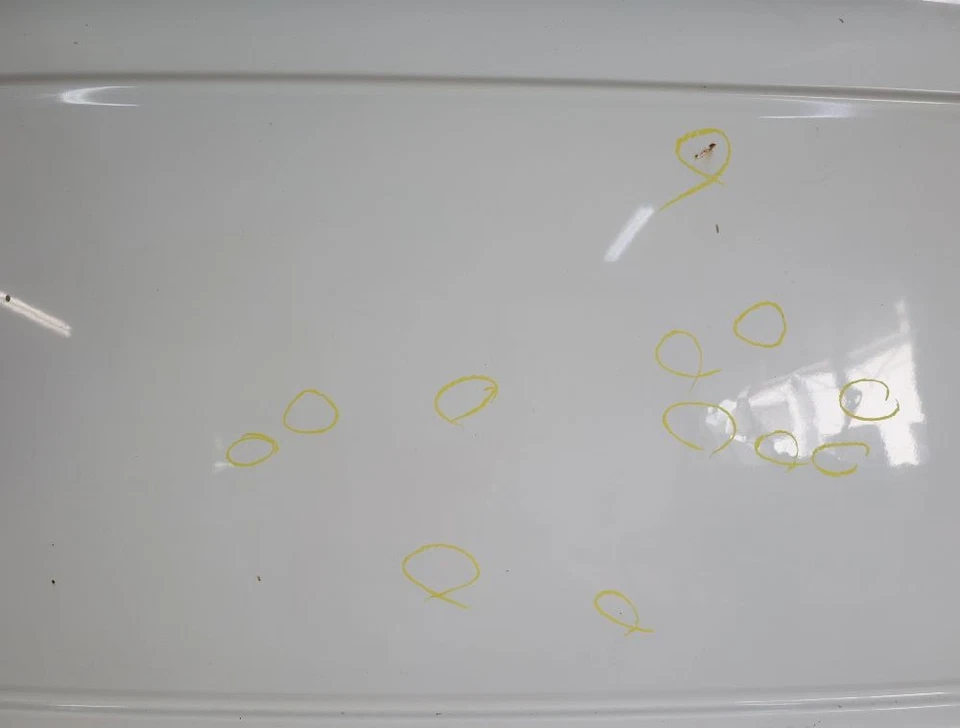 Heckklappe VW T4 Kasten Weiss 701829105AM 02-2001 - Bild 2 von 4