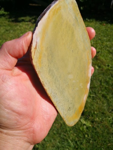 Pounamu Greenstone Nephrite Marsden Flower Jade Rare slab lapidary Natural - Picture 9 of 10