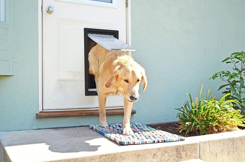 Endura Double Flap E2 Large Pet Door for Door in Black - Picture 5 of 8