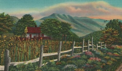 Sharp Top Mountain In Great Smoky Mountains Nat Park SC Linen Vintage Postcard