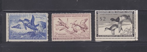 Three duck stamps (RW19, RW20, RW21) (1952-1954), MNH