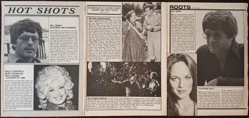 Bill Bixby magazine clippings: The Incredible Hulk, Courtship of Eddie's Father