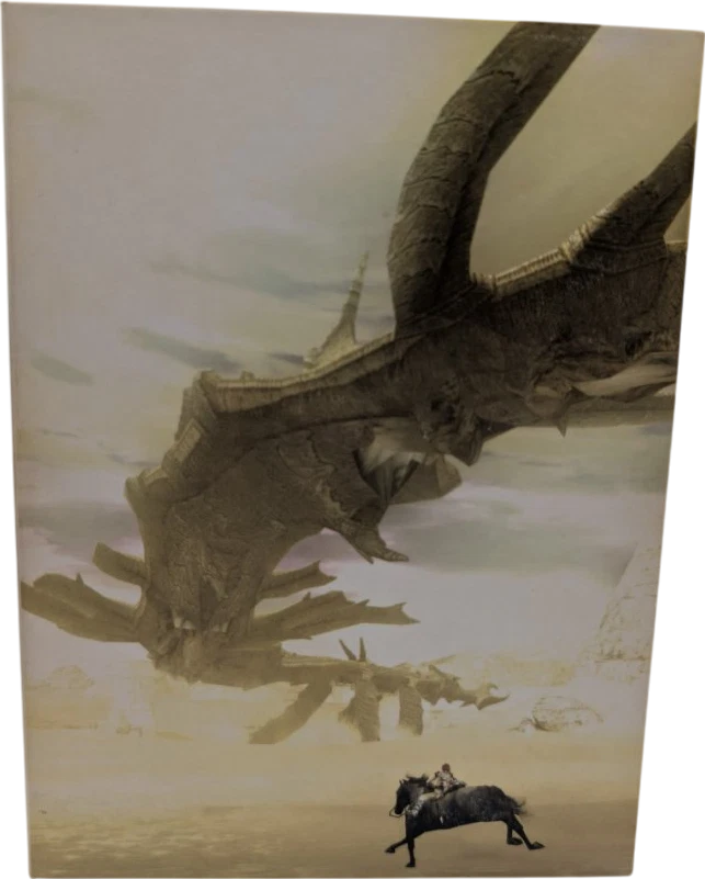 Shadow of the Colossus Sony PlayStation 2 Actionspiel PS2 guter Zustand - Bild 2 von 4