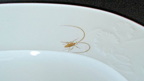 KPM Feldblume / Gold Trim and Insects T. Petri 1938 Bauhaus Small Oval Platter - Picture 6 of 9