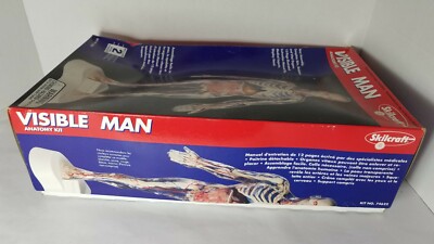 希少 Skil Craft Visible Man Anatomy Kit Skilcraft Visible Man Science Model Kit 74622 Anatomy | eBay