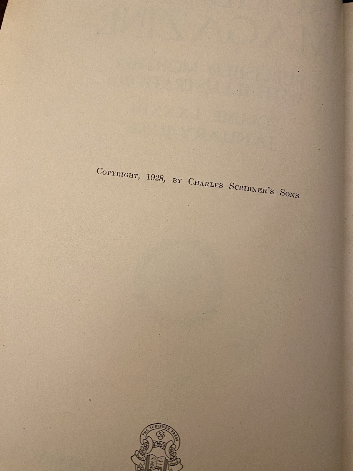 Picture 5 of 11