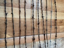 10 Antique Barbed Wire 1868-1887 18" - 21"
