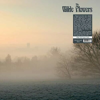 The Wilde Flowers by Wilde Flowers (Record, 2024)