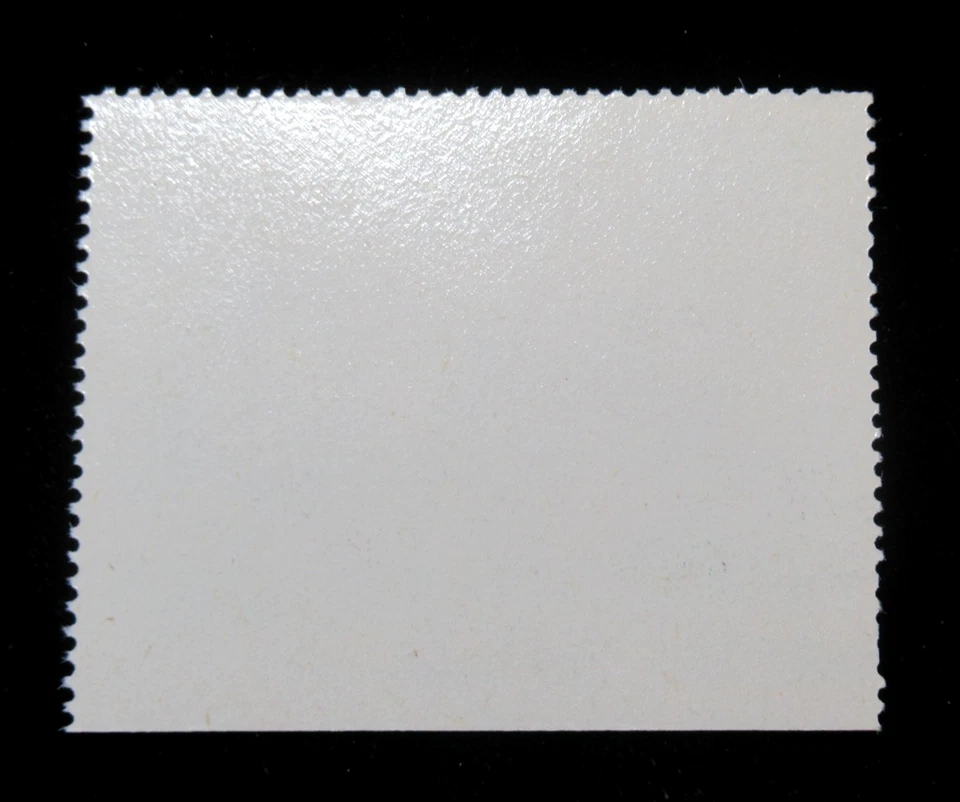 US Vintage Cinderella Stamp Boy Town Nebraska Grade School Dining Hall 1950s MNH - Image 2 of 2