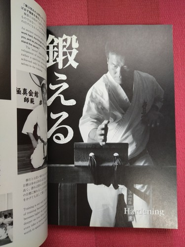 HATSUO ROYAMA'S SECRET PRINCIPLES OF KARATE Kyokushin Karate Bible Japanese - Picture 3 of 10