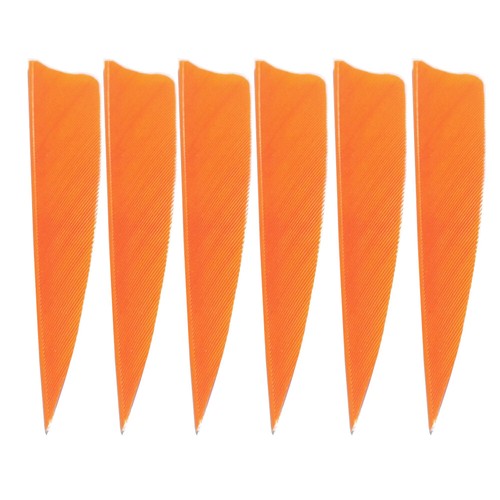 50X plumas naturales plumas de flecha 4 pulgadas plumas de flecha tiro con arco plumaje caza - Imagen 18 de 22