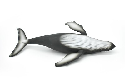 Humpback Whale, Museum Quality Plastic Replica 10