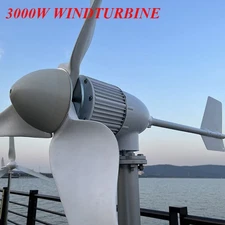 3000W 24V 48V Wind Turbine Windmill Wind Power Generator 3KW & MPPT Controller
