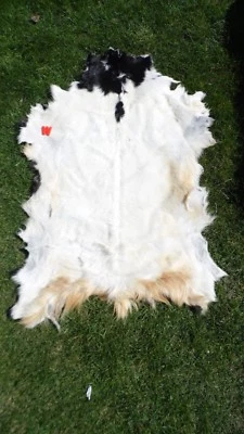 Ziegenfell * Goatskin Leather * Ziege * Teppich * Läufer * Kamin Deko - Bild 1 von 4