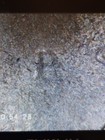 Bild 3 von 13